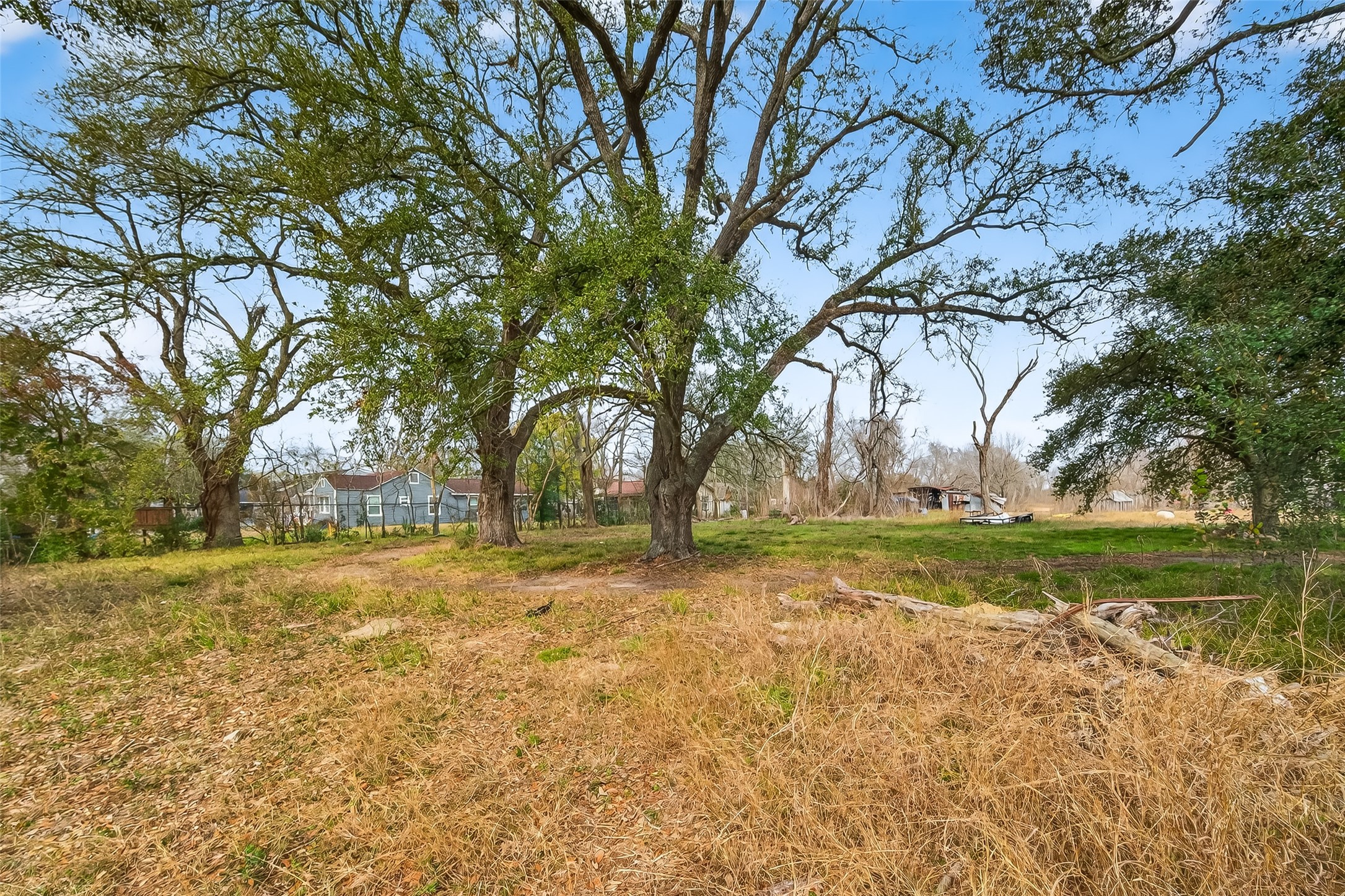 3721 Almeda Genoa Road Houston, TX 77047 - Photo 2 of 50 a view of yard with large trees