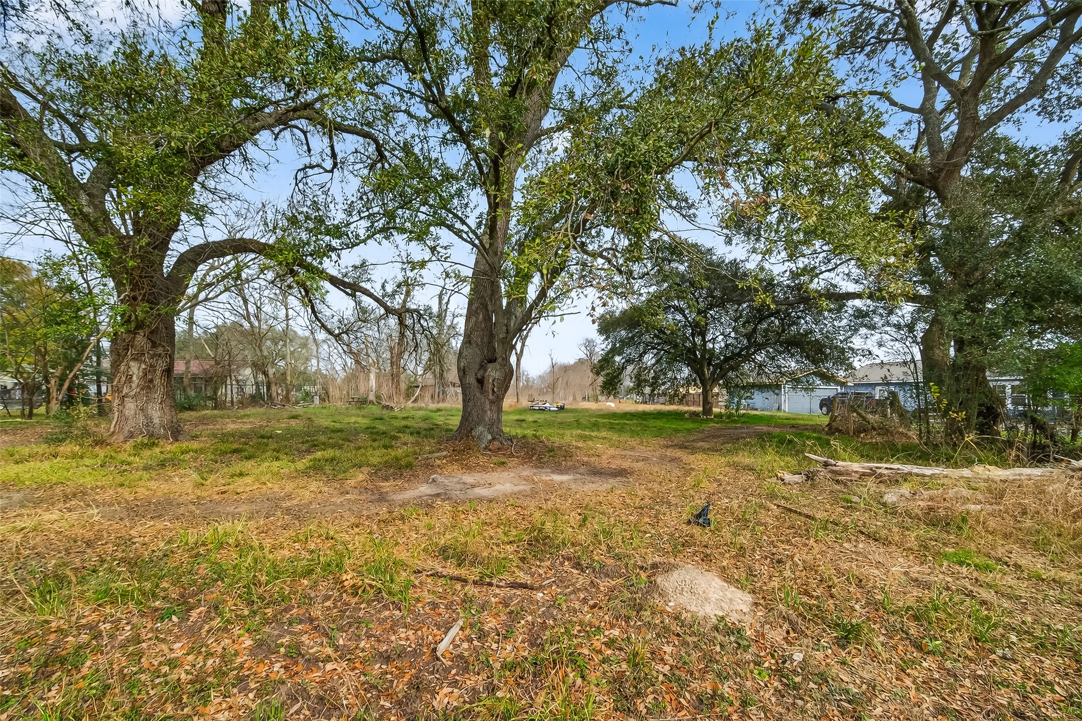 3721 Almeda Genoa Road Houston, TX 77047 - Photo 3 of 50 a view of a yard with trees