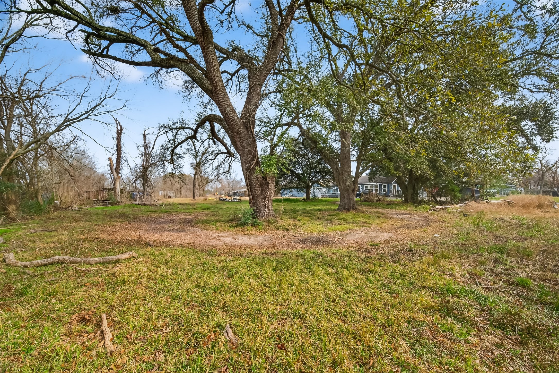3721 Almeda Genoa Road Houston, TX 77047 - Photo 4 of 50 a view of outdoor space with deck and trees