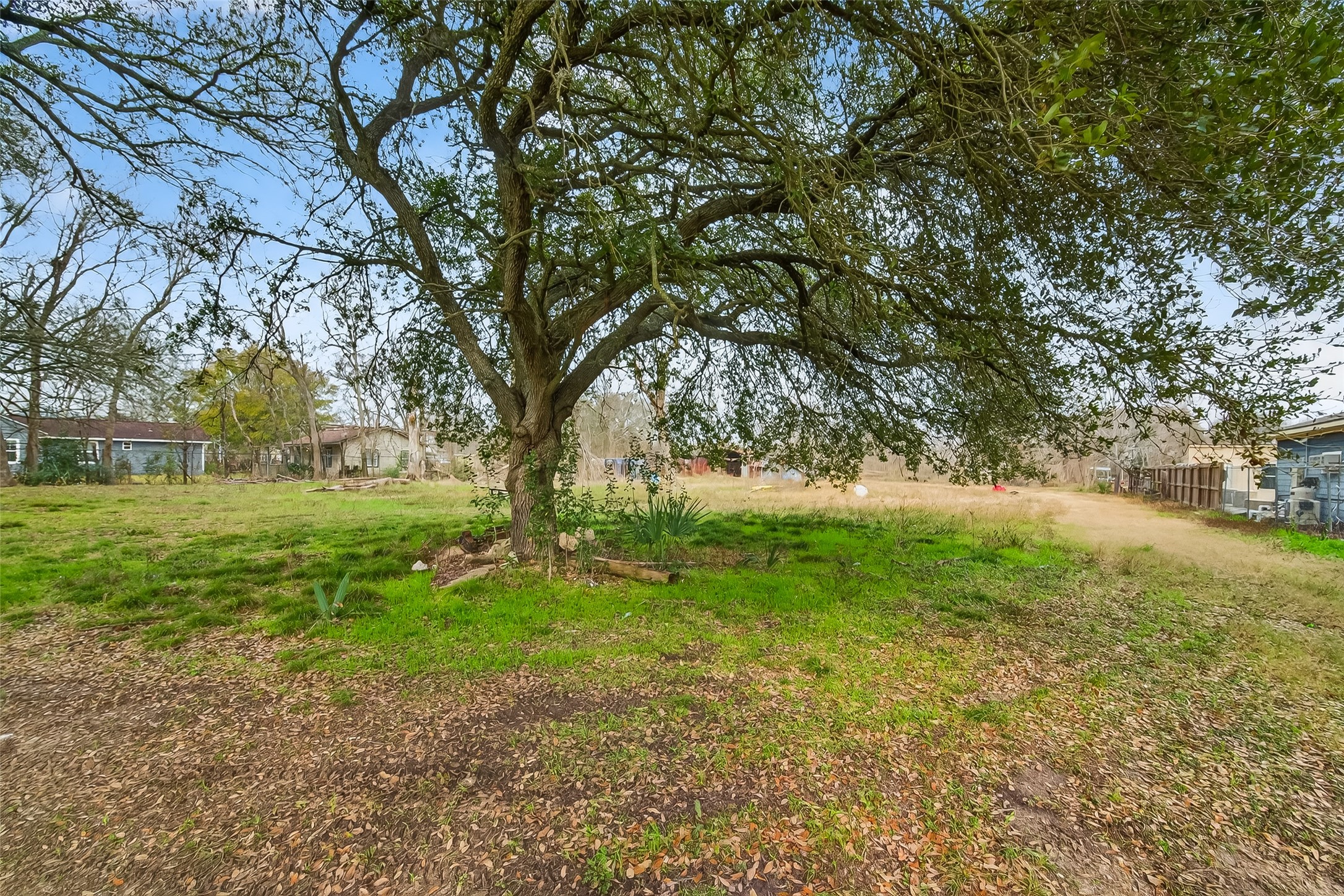 3721 Almeda Genoa Road Houston, TX 77047 - Photo 6 of 50 a view of yard with trees