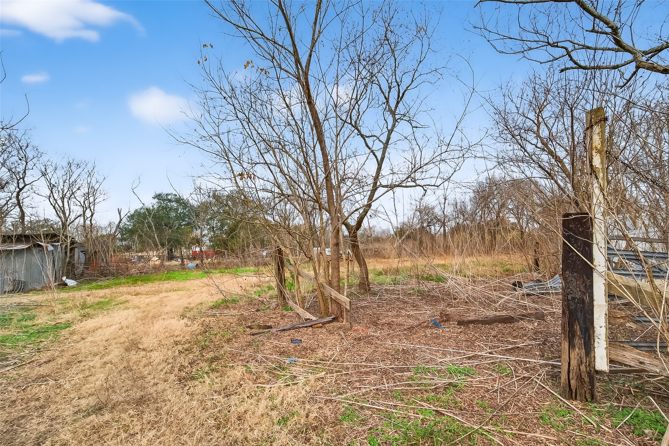 3721 Almeda Genoa Road Houston, TX 77047 - Photo 8 of 50 a view of yard with trees