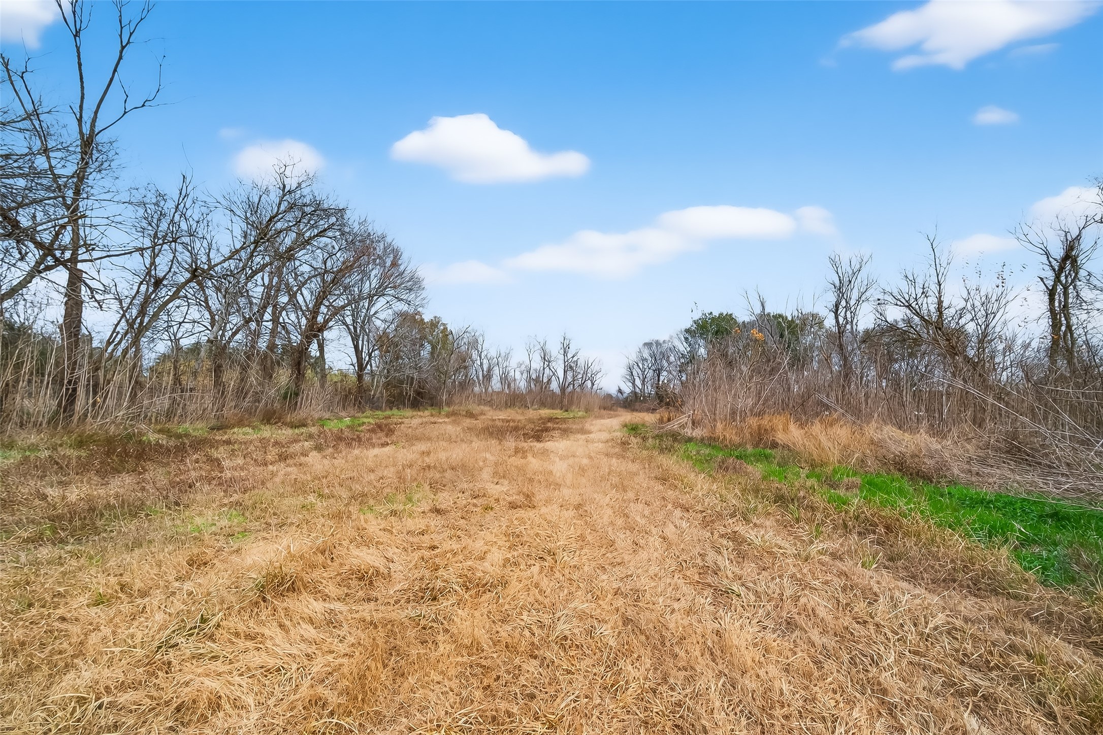 3721 Almeda Genoa Road Houston, TX 77047 - Photo 10 of 50