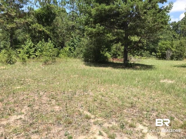 339 Blackburn Lane Brewton, AL 36426 - Photo 3 of 13 Land