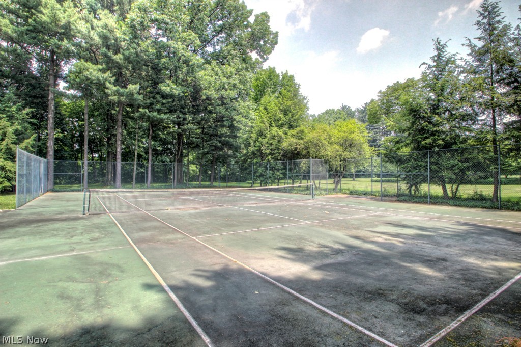 7450 Markell Road Willoughby, OH 44094 - Photo 24 of 25 Tennis courts!