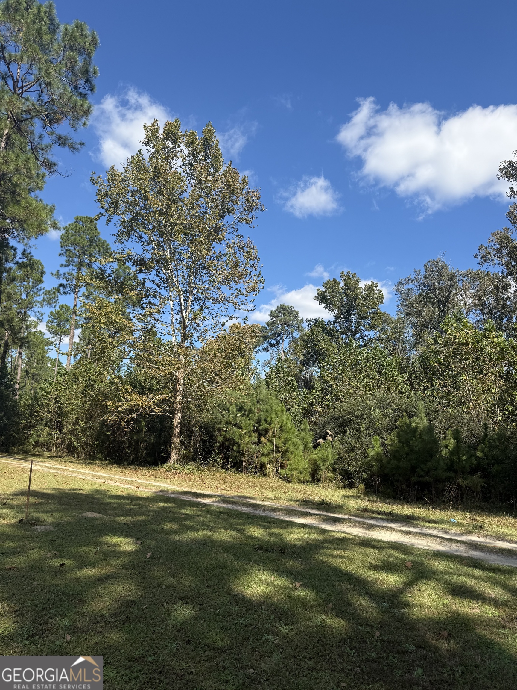 0 Old Leefield Road Brooklet, GA 30415 - Photo 2 of 3 a view of a golf course with a lake