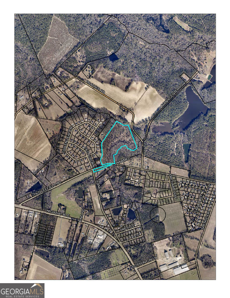 0 Old Leefield Road Brooklet, GA 30415 - Photo 3 of 3 a view of entryway with outdoor space