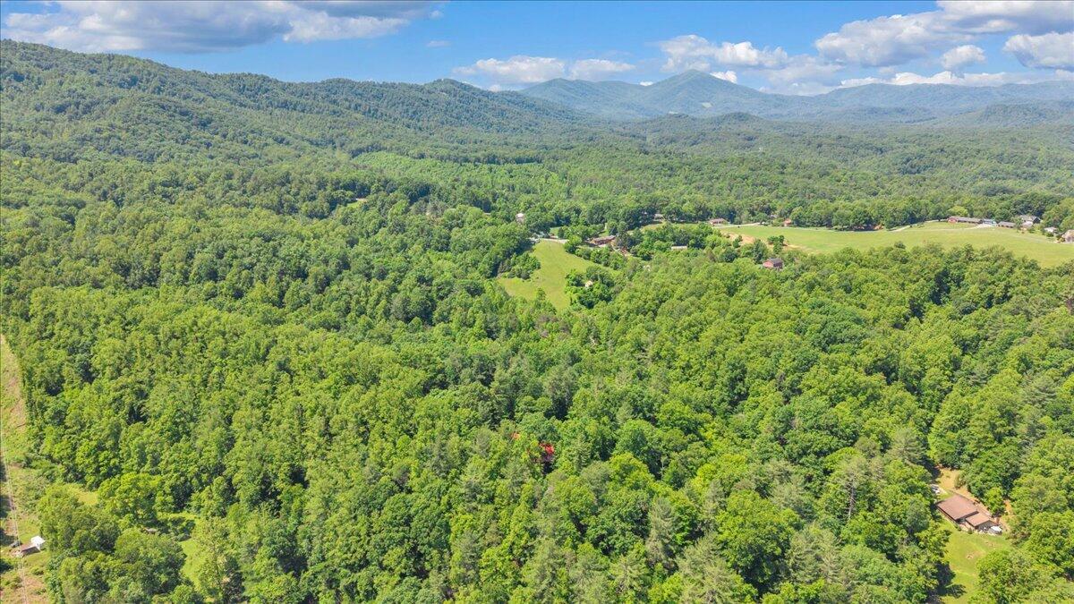 5750 Bandy Road Roanoke, VA 24014 - Photo 79 of 83 79-DJI_20260529124715_0014_D