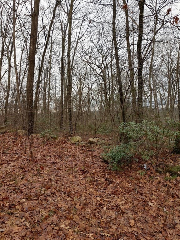 38 Reed Hill Road Wales, MA 01081 - Photo 2 of 4 Gallery Image 2