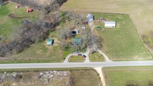 a view of a garden with plants