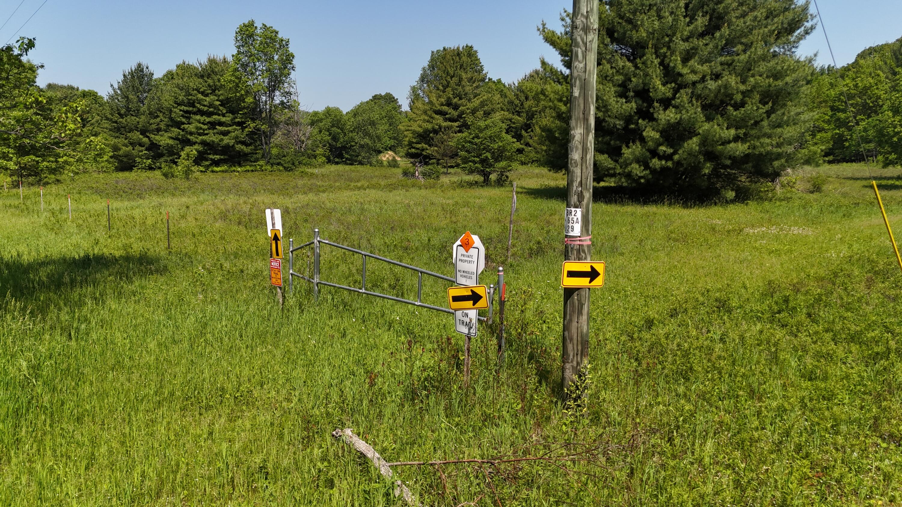 16311 Dickson Road Brethren, MI 49619 - Photo 11 of 27 dji_fly_20250611_114822_0525_17496572079