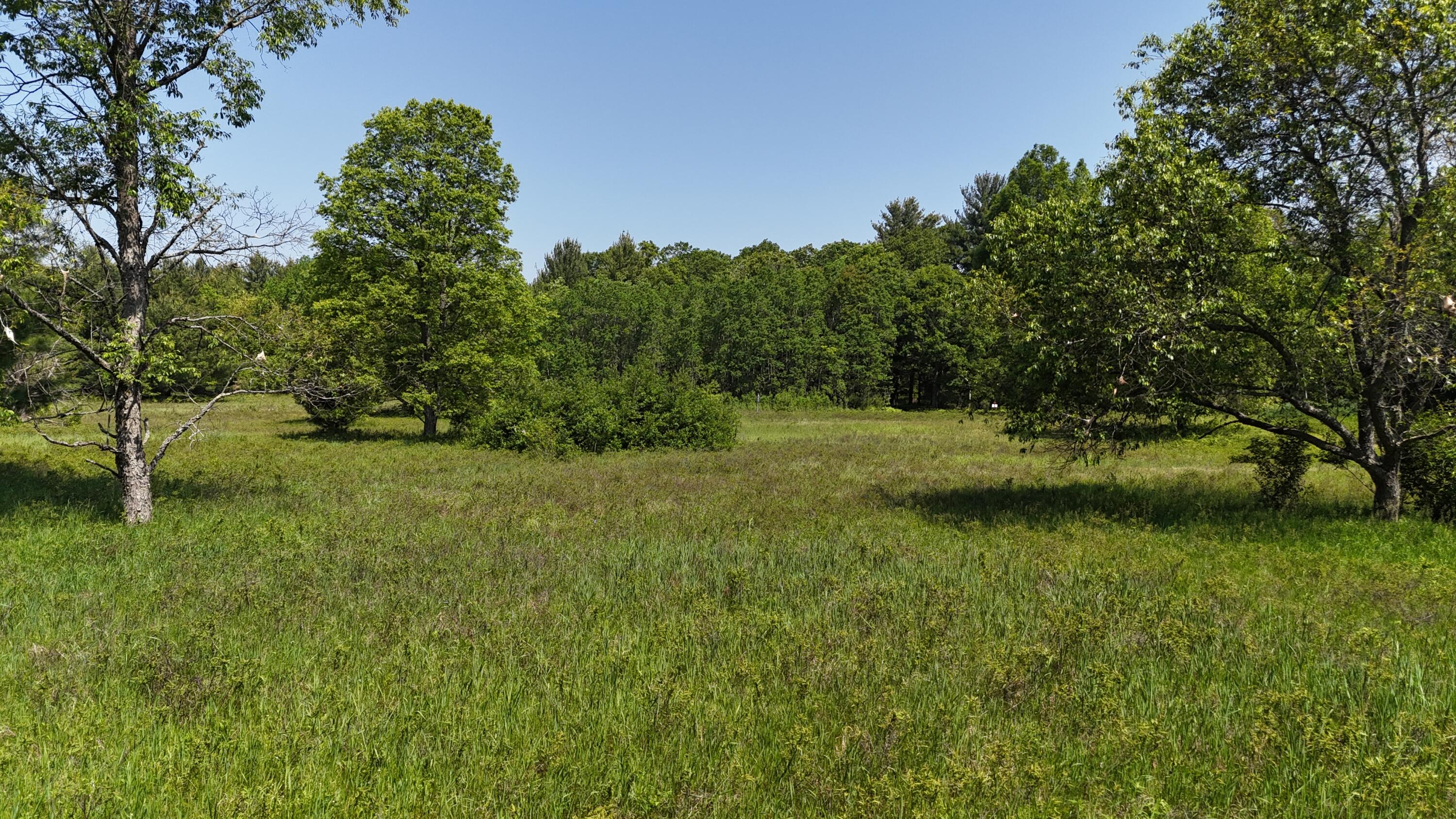 16311 Dickson Road Brethren, MI 49619 - Photo 12 of 27 dji_fly_20250611_114802_0524_17496572083