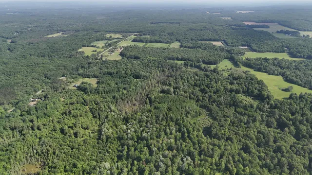 $100,000 | 16311 Dickson Road, Brethren, MI 49619