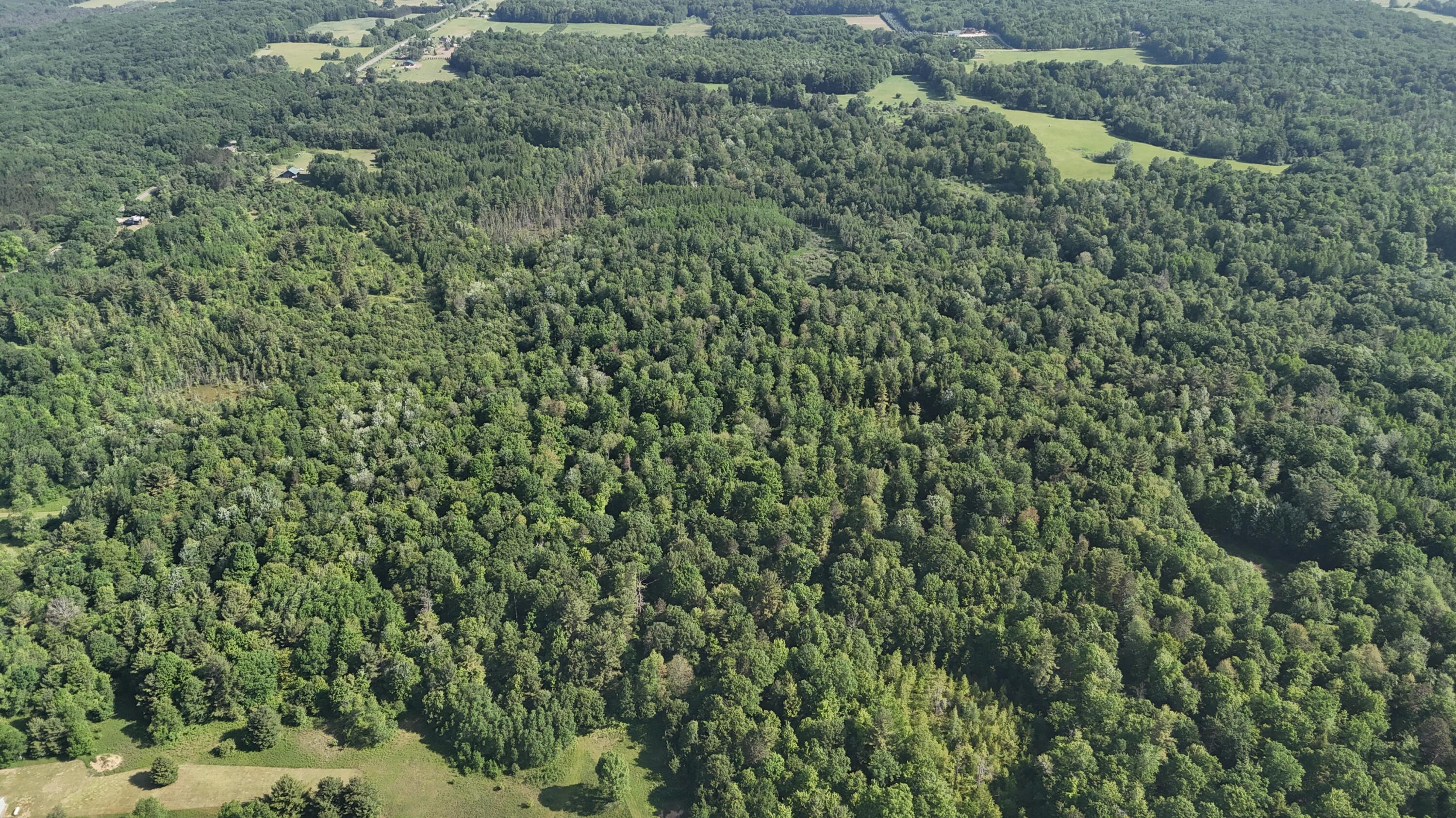 16311 Dickson Road Brethren, MI 49619 - Photo 20 of 27 dji_fly_20250617_100822_0575_17501698467