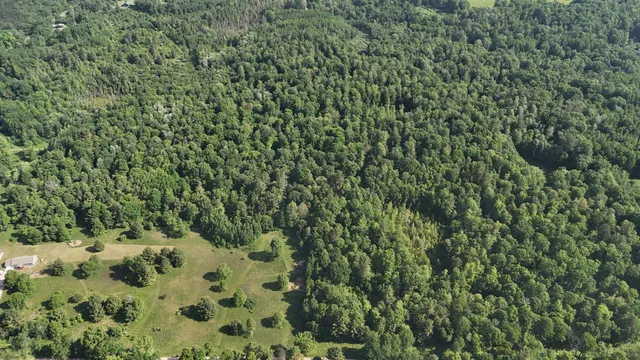 $100,000 | 16311 Dickson Road, Brethren, MI 49619