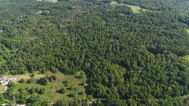 $100,000 | 16311 Dickson Road, Brethren, MI 49619