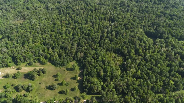 $100,000 | 16311 Dickson Road, Brethren, MI 49619