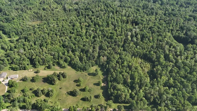 $100,000 | 16311 Dickson Road, Brethren, MI 49619