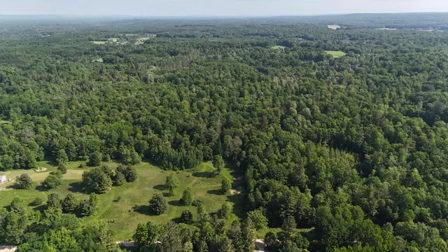 $100,000 | 16311 Dickson Road, Brethren, MI 49619