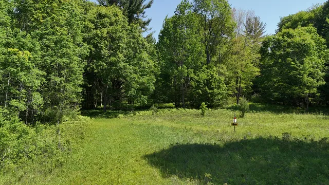 $100,000 | 16311 Dickson Road, Brethren, MI 49619