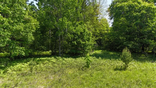 $100,000 | 16311 Dickson Road, Brethren, MI 49619