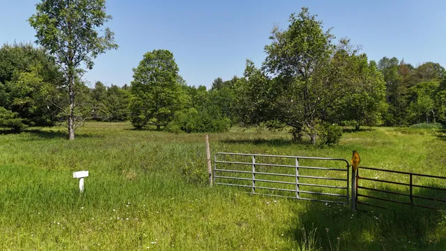 $100,000 | 16311 Dickson Road, Brethren, MI 49619