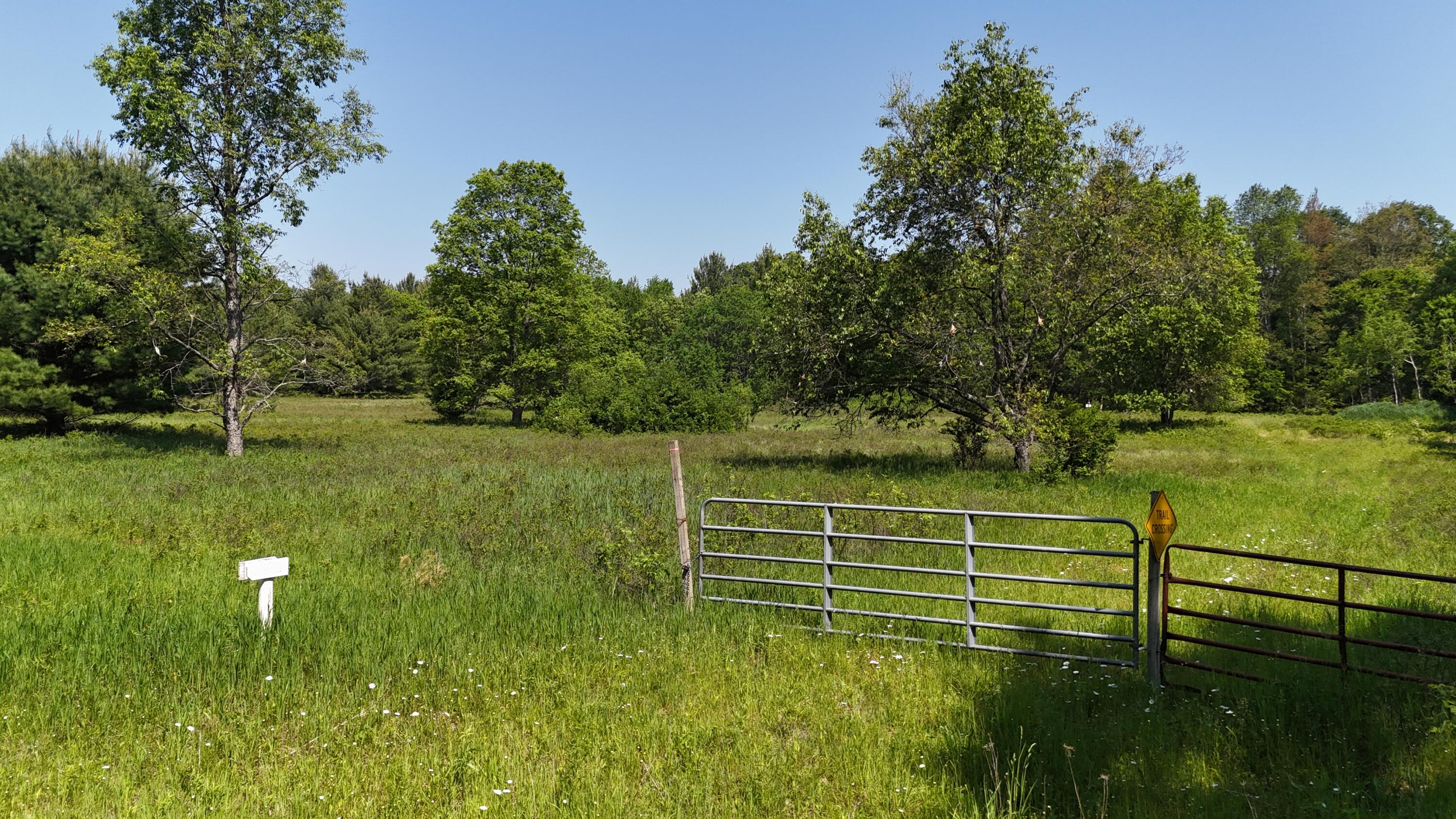 16311 Dickson Road Brethren, MI 49619 - Photo 8 of 27 dji_fly_20250611_114758_0523_17496572087