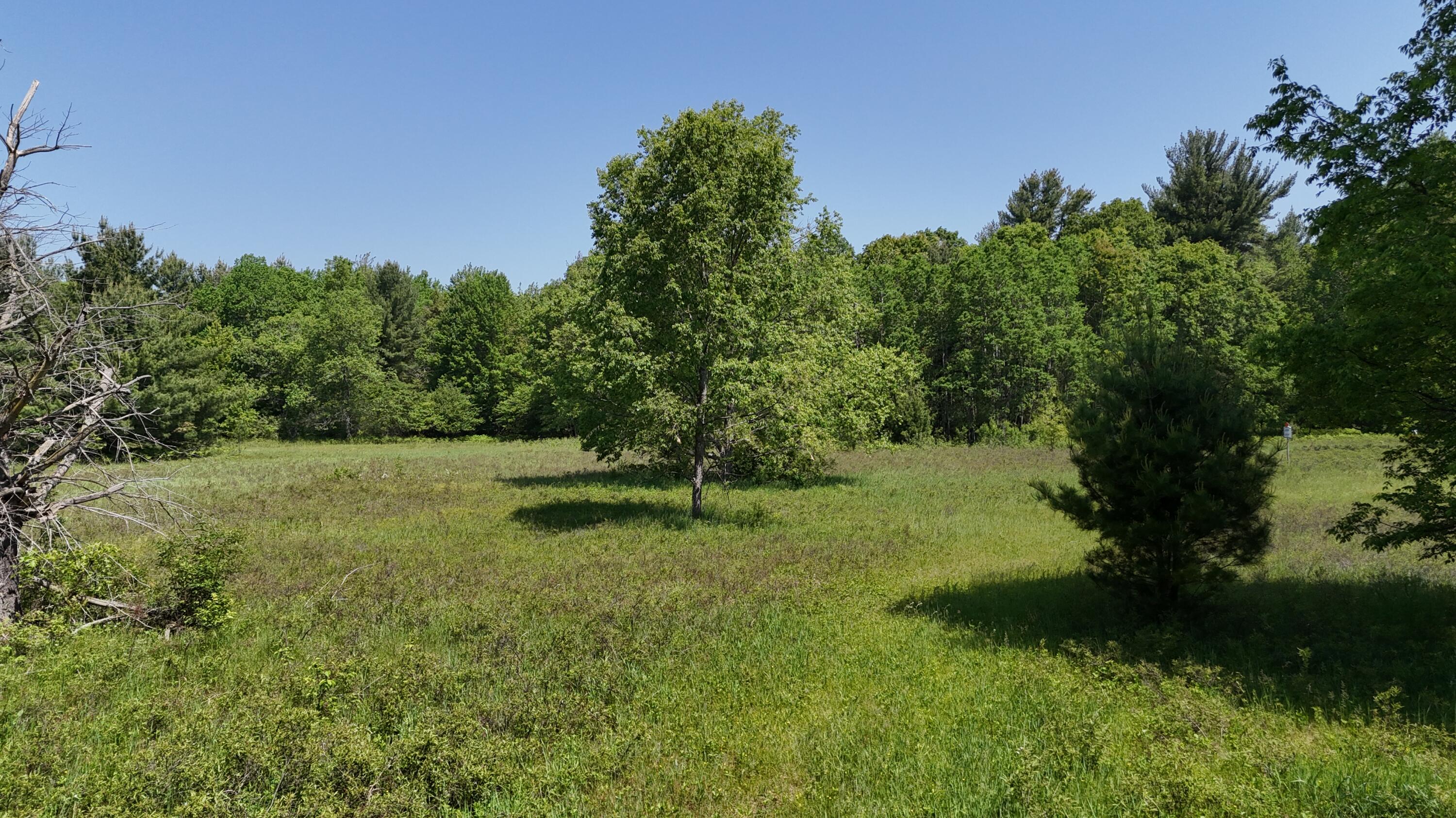16311 Dickson Road Brethren, MI 49619 - Photo 10 of 27 dji_fly_20250611_114834_0526_17496572076