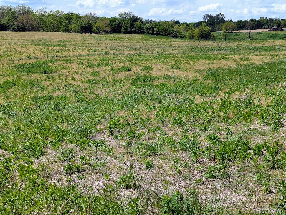 Parcel D - Hogan Road Linden, MI 48451 - Photo 16 of 19