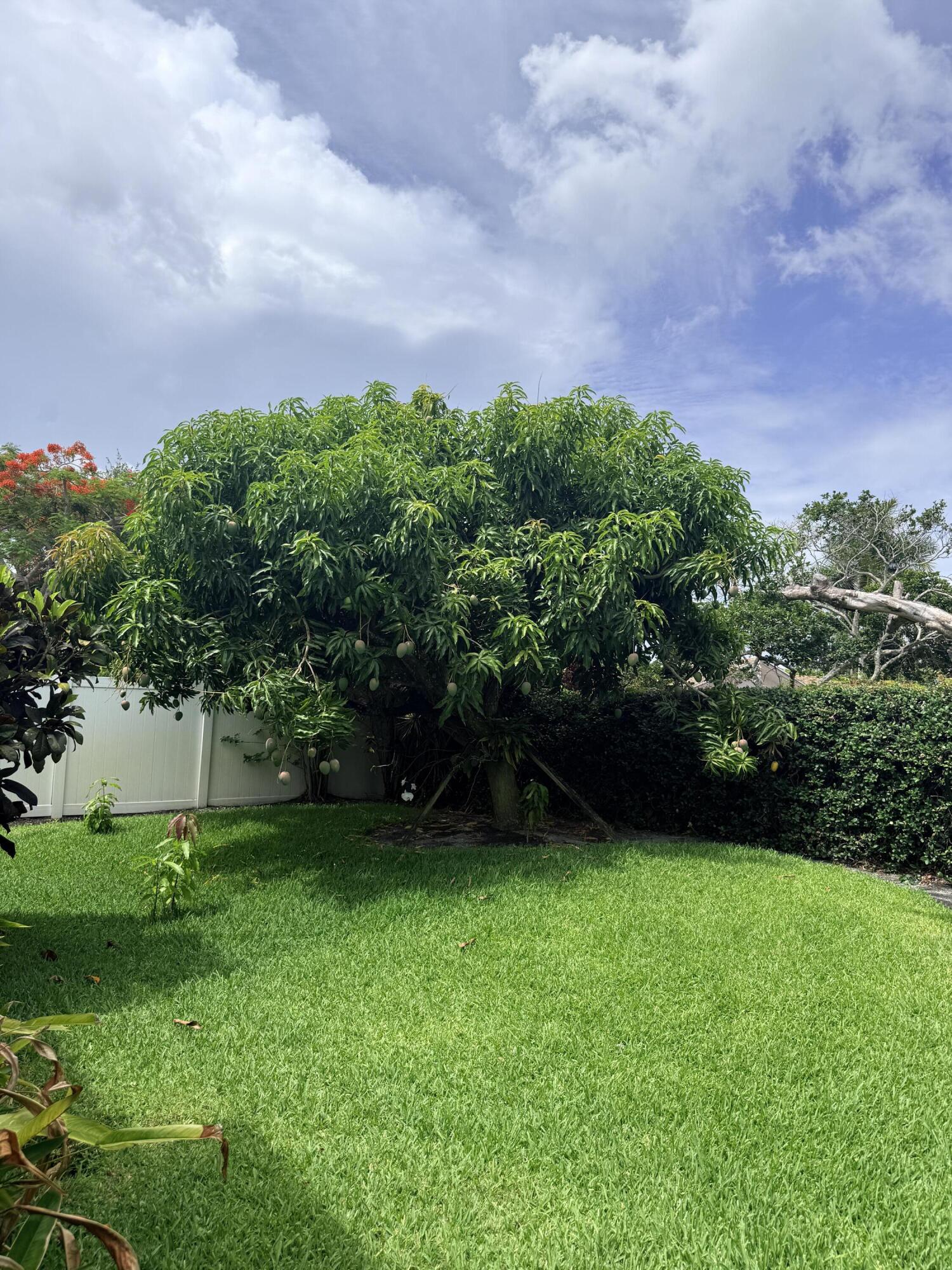3509 Northwest 26th Court Boca Raton, FL 33434 - Photo 34 of 39 IMG_3997