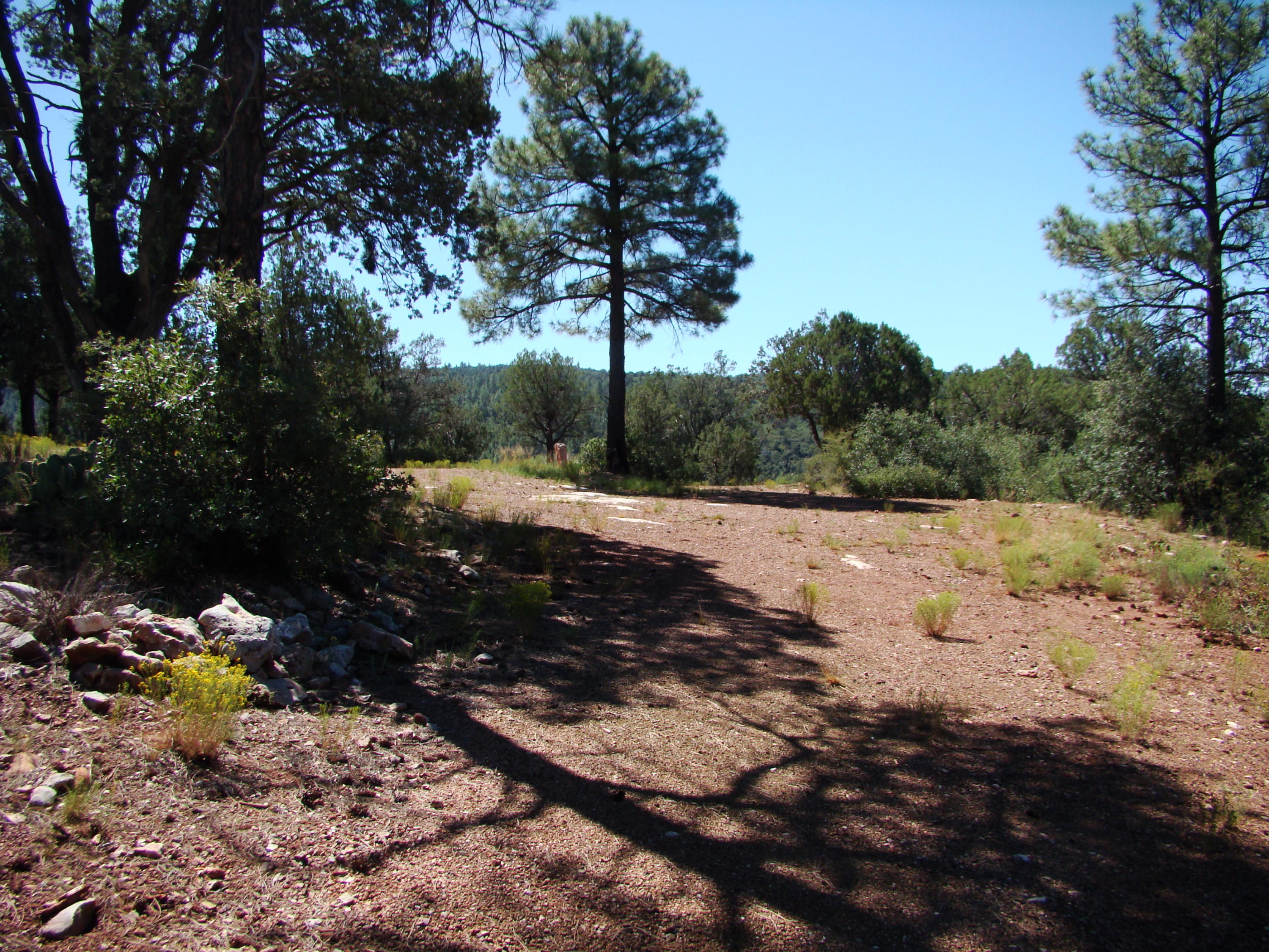 17033 Fire Control Road Payson, AZ 85541 - Photo 5 of 28