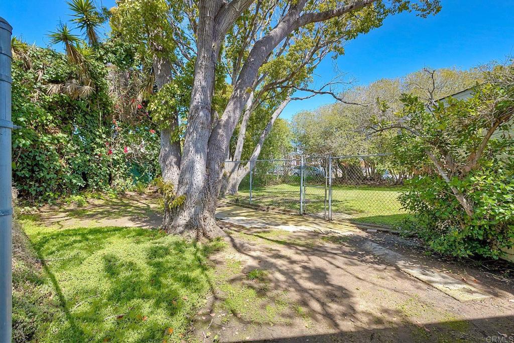 3897 Park Drive Carlsbad, CA 92008 - Photo 4 of 39 a view of a yard with a tree