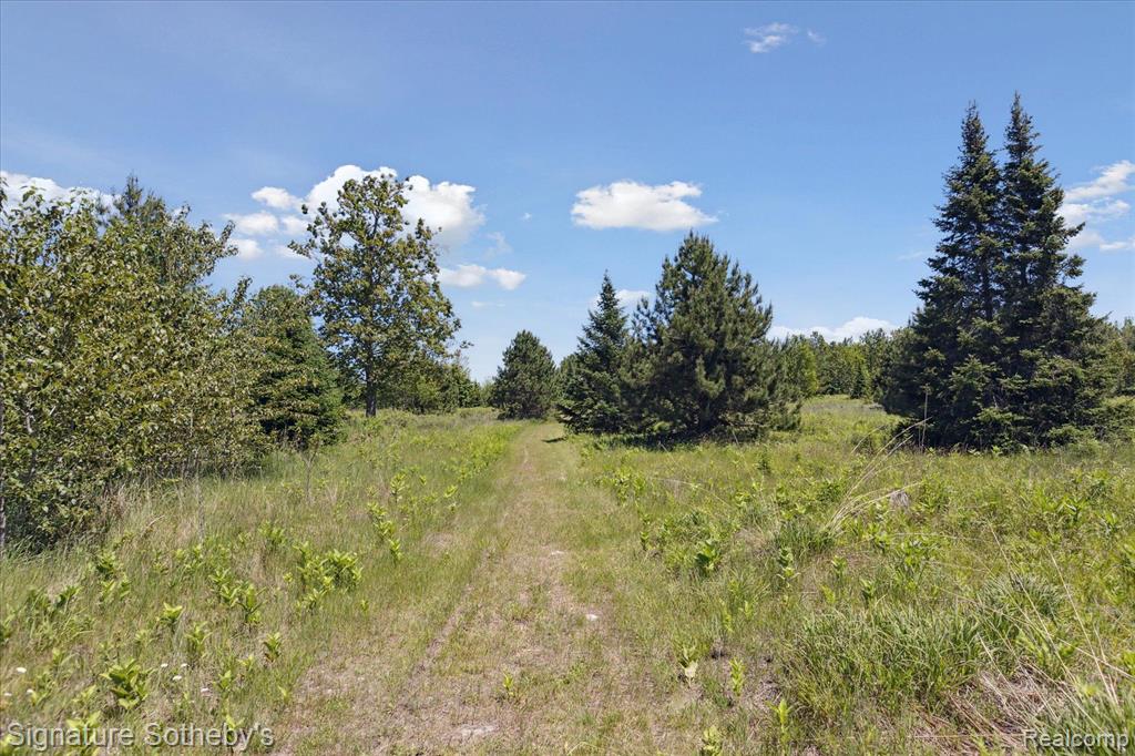 9842 Misery Bay Road Alpena, MI 49707 - Photo 74 of 87
