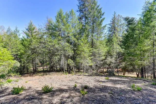 $192,000 | 2000 Ponderosa Way, Colfax, CA 95713