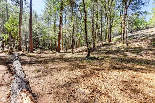a view of outdoor space with deck and trees