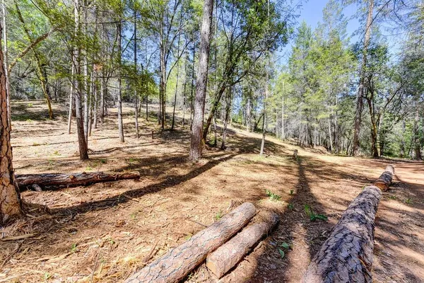 a view of a yard with trees