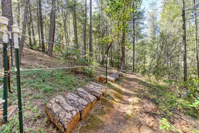 a view of outdoor space and yard