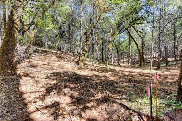 a view of covered with snow
