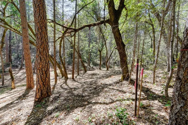 a view of outdoor space