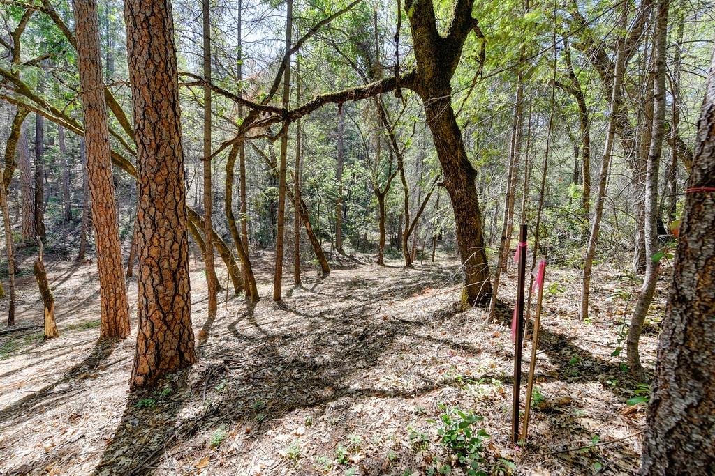 2000 Ponderosa Way Colfax, CA 95713 - Photo 19 of 38 a view of outdoor space