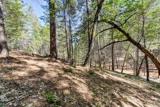 a view of backyard with green space