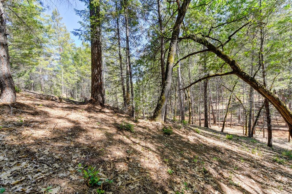 2000 Ponderosa Way Colfax, CA 95713 - Photo 20 of 38 a view of backyard with green space