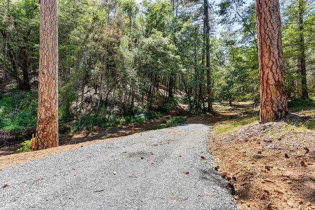 a view of a road with trees in the background