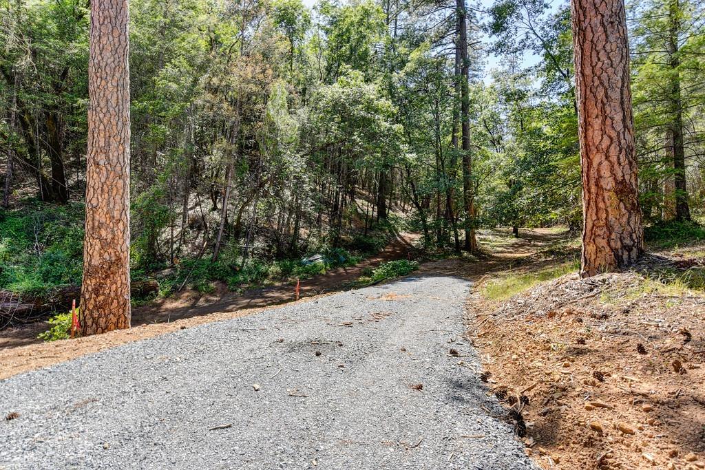 2000 Ponderosa Way Colfax, CA 95713 - Photo 2 of 38 a view of a road with trees in the background