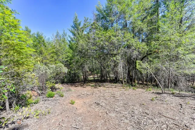 a view of outdoor space with trees