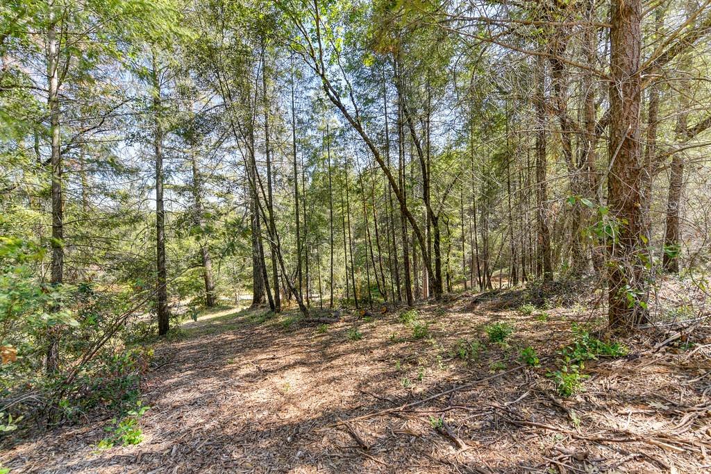 2000 Ponderosa Way Colfax, CA 95713 - Photo 25 of 38 a view of outdoor space with trees