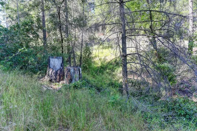 a backyard of a house with lots of green space and trampoline