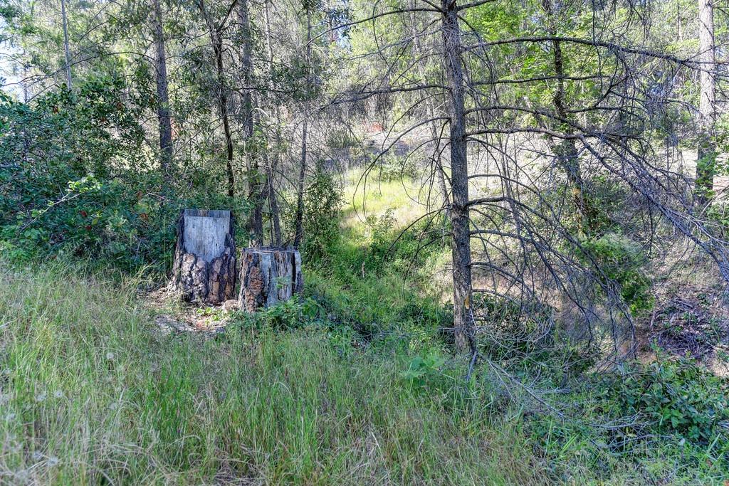 2000 Ponderosa Way Colfax, CA 95713 - Photo 27 of 38 a backyard of a house with lots of green space and trampoline