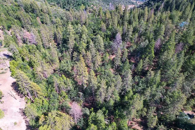 an aerial view of residential houses with outdoor space and trees