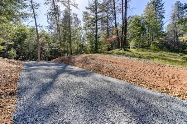 a view of a yard with large trees