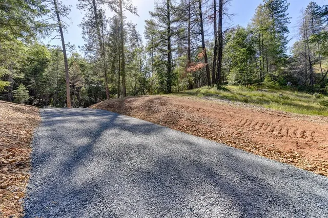 a view of a yard with large trees